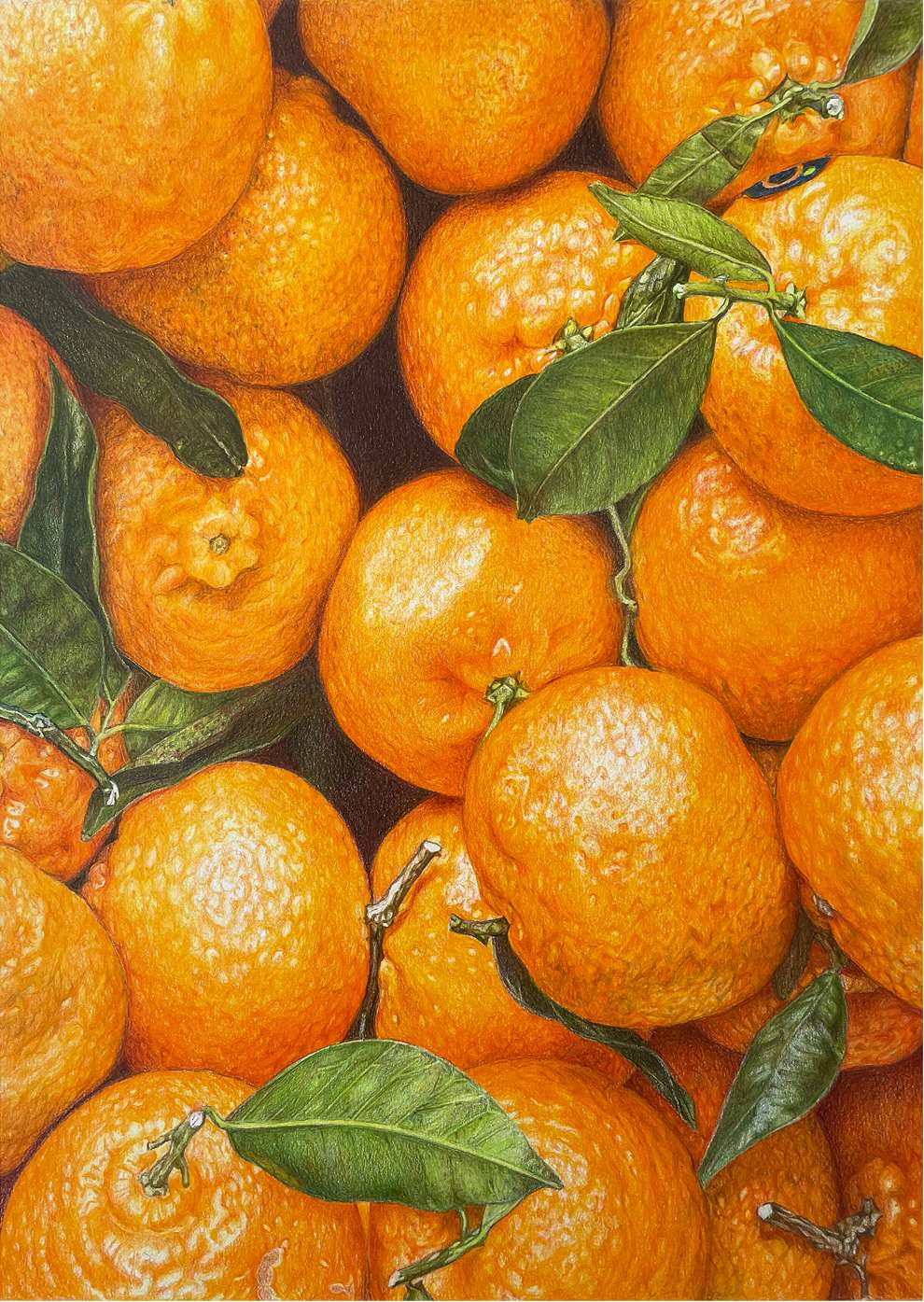 Pencil on Paper, A hand-drawn pencil illustration of the orange fruit, decorated like a pattern.